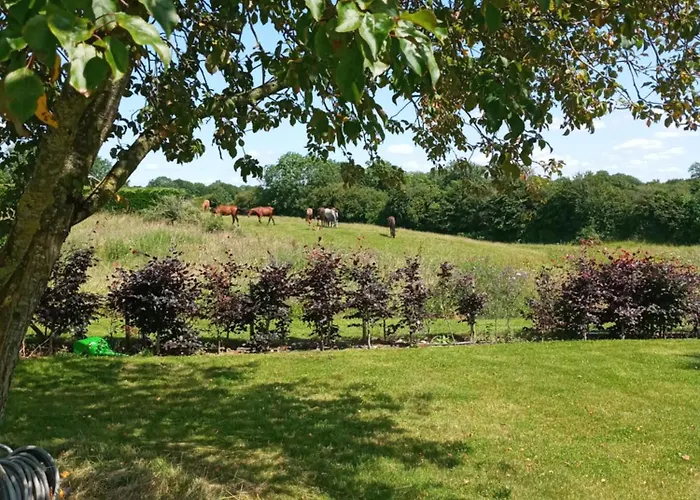 Suzies Self Catering Belmont